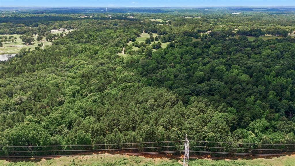 6146 County Road 334, Tyler, TX 75708 Expansive land featuring diverse tree cover and distant open fields