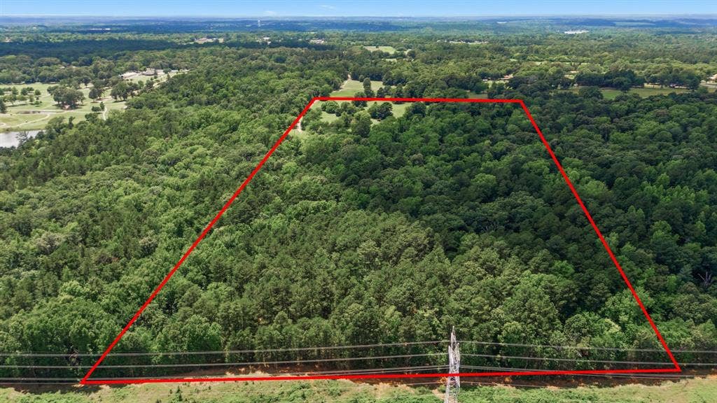 6146 County Road 334, Tyler, TX 75708 Wooded acreage with varied tree coverage