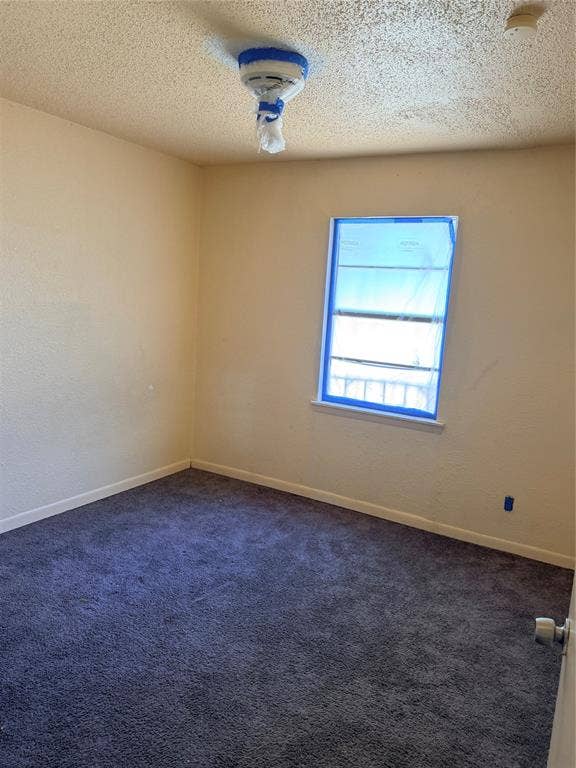 313 Lawndale Street, Robinson, TX 76706 Carpeted flooring, painted walls, window opening, textured ceiling