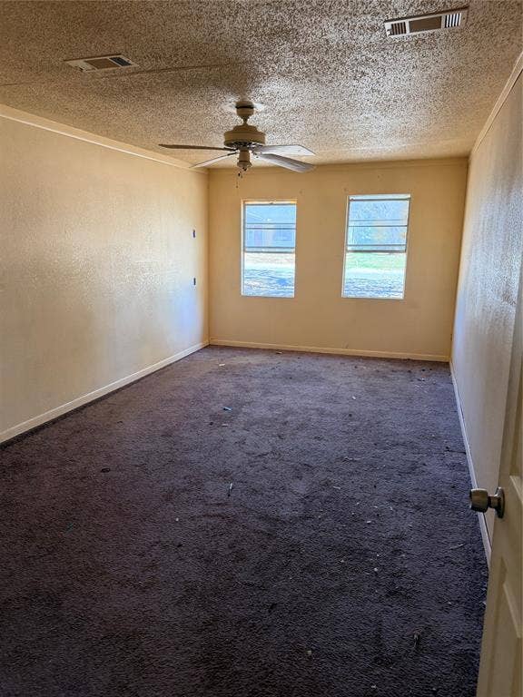 313 Lawndale Street, Robinson, TX 76706 Textured ceiling, ceiling fan, two windows, wall-to-wall carpeting, and painted walls