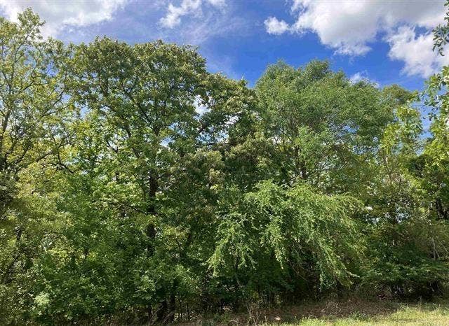 2433 Wellington Trace, Tyler, TX 75709 2433 Wellington Trace, Tyler, TX 75709