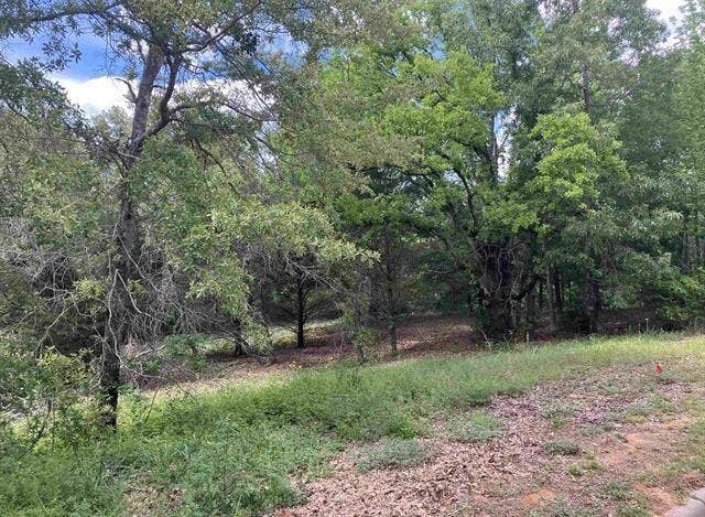 2433 Wellington Trace, Tyler, TX 75709 2433 Wellington Trace, Tyler, TX 75709