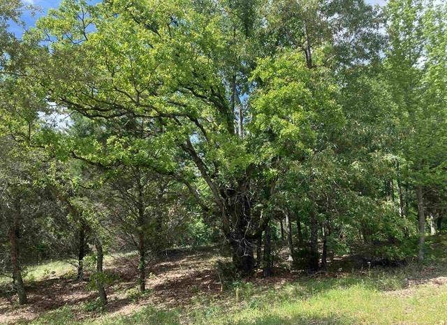 2433 Wellington Trace, Tyler, TX 75709 2433 Wellington Trace, Tyler, TX 75709