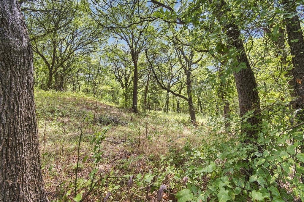 Gorgeous 10 acres to do what you want.
