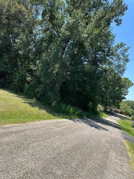 Property photo for 0000 Brookhollow Drive, Palestine, TX