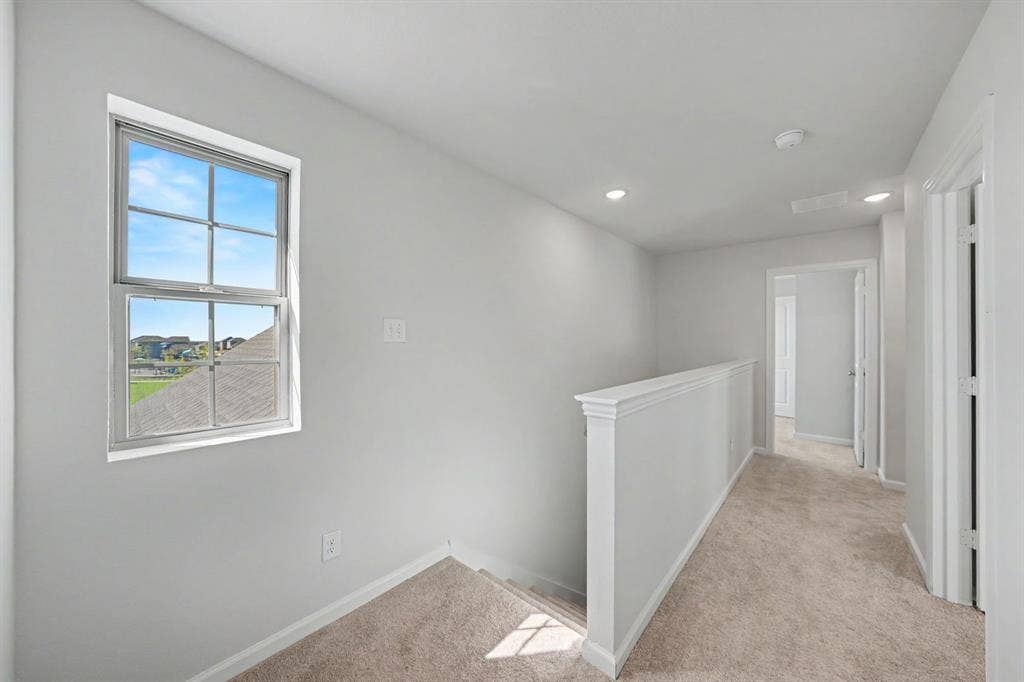 1207 Briar Street, Princeton, TX 75407 18-web-or-mls-DSC02078