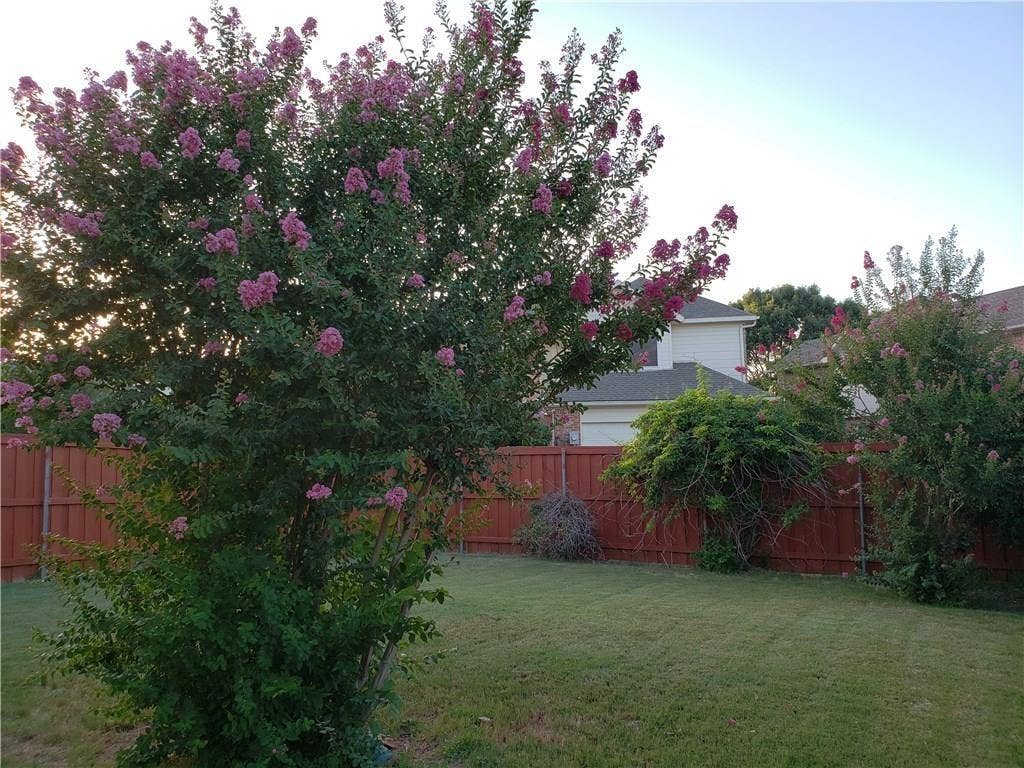 3633 Bonita Drive, Plano, TX 75025 3633 Bonita Drive, Plano, TX 75025