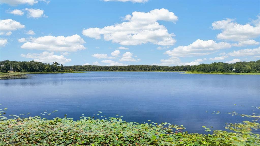 4513 Cascades Shoreline Drive, Tyler, TX 75709 Expansive lake with a natural shoreline and aquatic vegetation