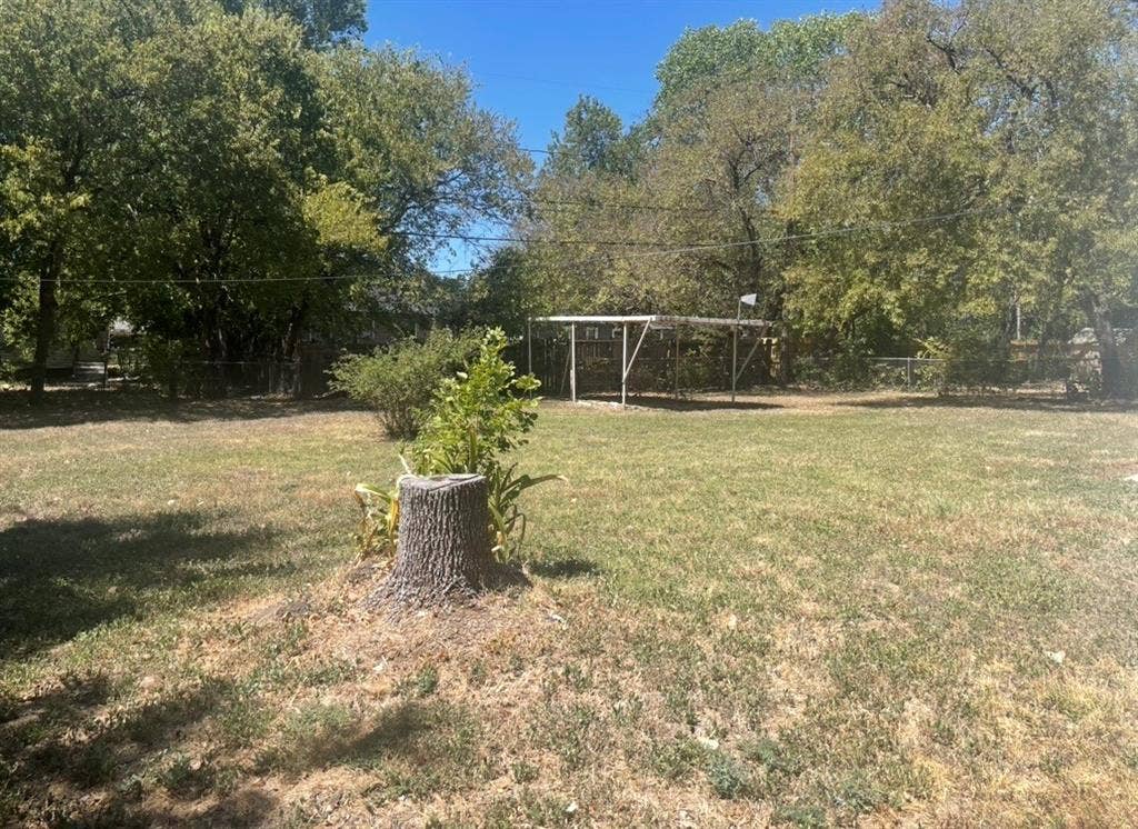 Fenced back yard