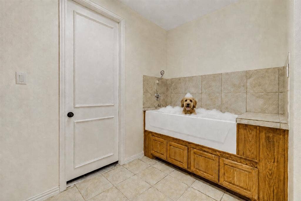 465 Bee Caves Road, Lucas, TX 75002 Dog washing station in laundry room. Dog and bubbles are AI generated.