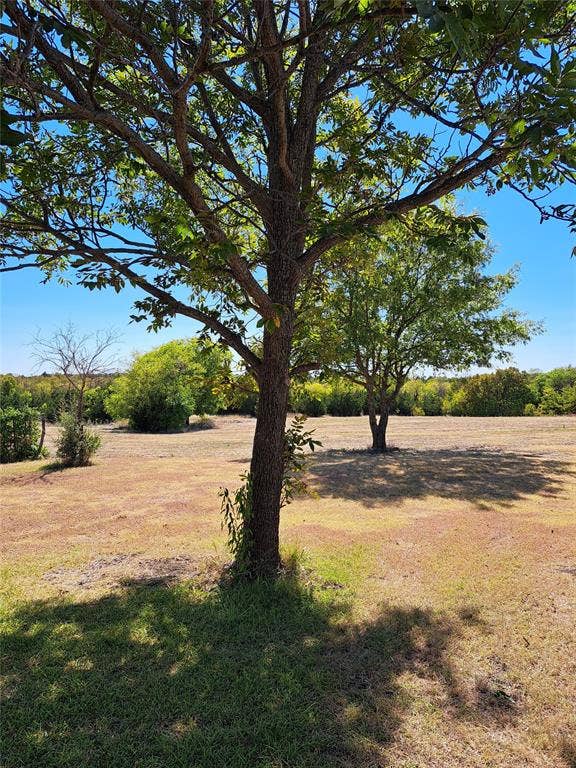 0000 Fm 982, Princeton, TX 75407 0000 Fm 982, Princeton, TX 75407
