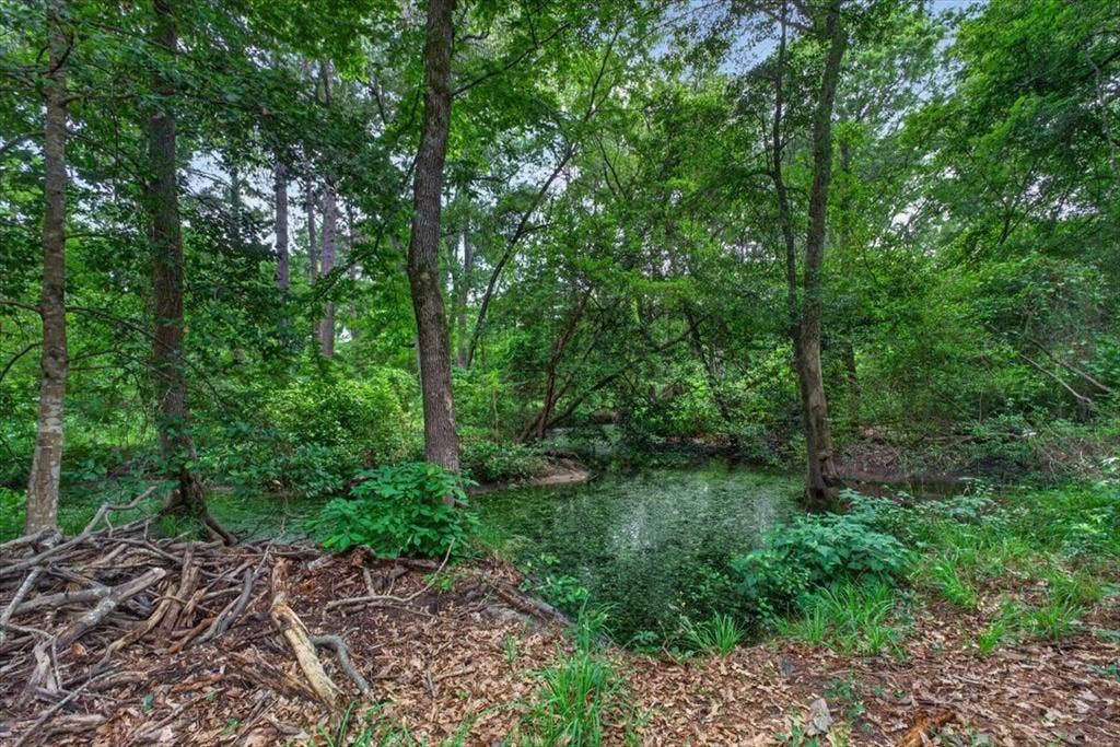 21277 Joe Paul Lane, #R, Chandler, TX 75758 21277 Joe Paul Lane, #R, Chandler, TX 75758