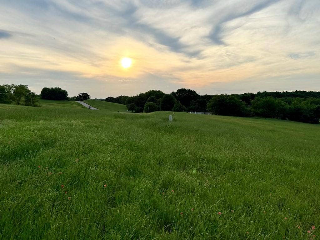 42 Shore Crest Way, Athens, TX 75752 42 Shore Crest Way, Athens, TX 75752