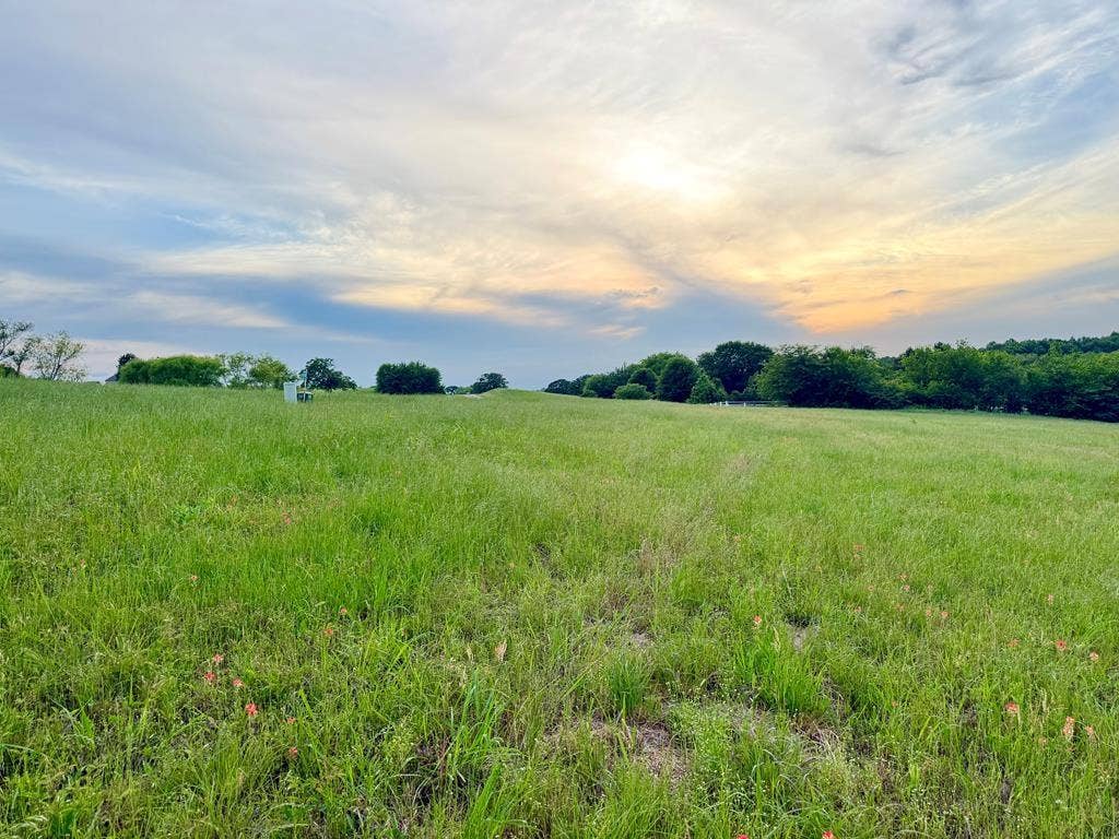 42 Shore Crest Way, Athens, TX 75752 42 Shore Crest Way, Athens, TX 75752