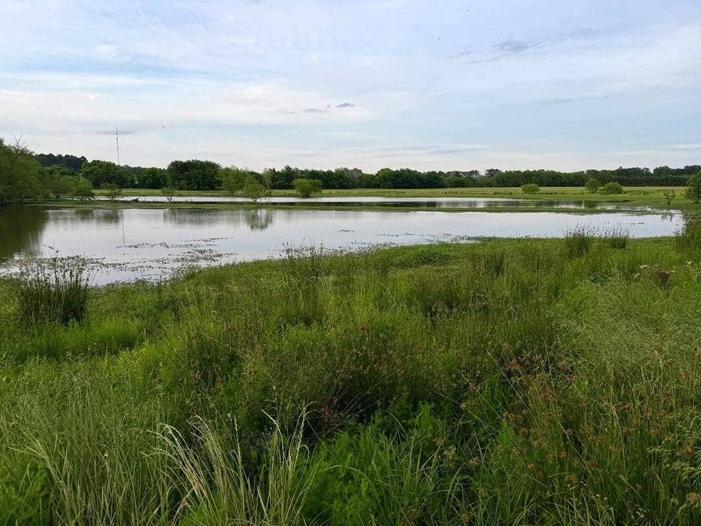 42 Shore Crest Way, Athens, TX 75752 42 Shore Crest Way, Athens, TX 75752