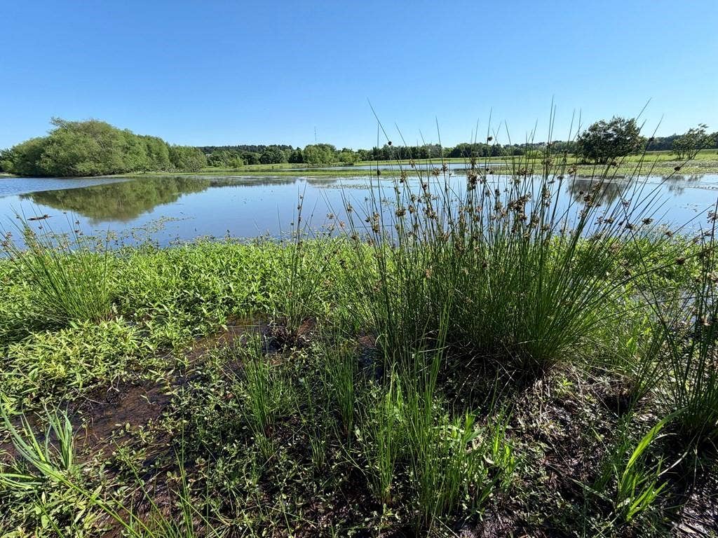 42 Shore Crest Way, Athens, TX 75752 42 Shore Crest Way, Athens, TX 75752