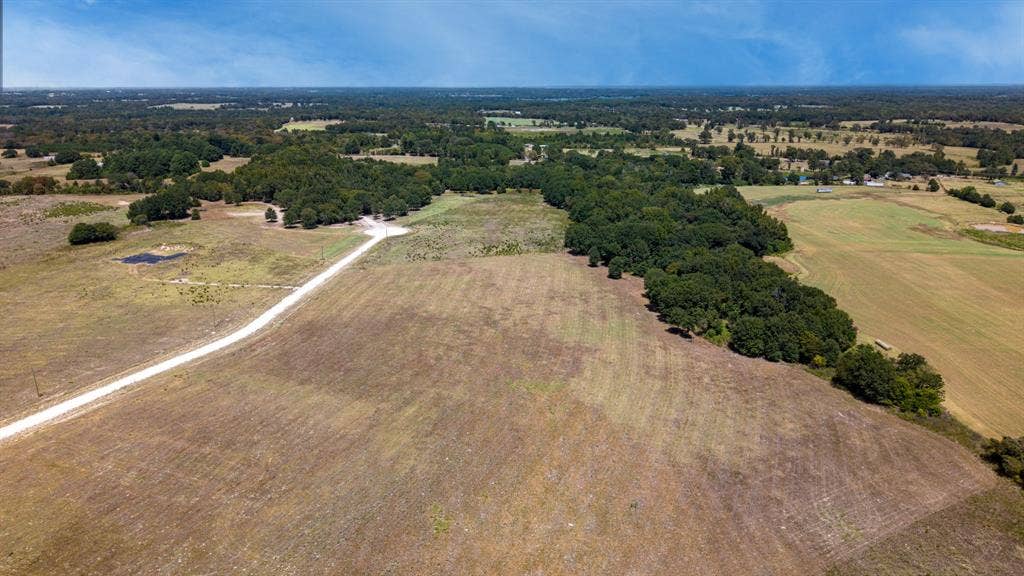 Lot 6 E US HWY 175, Athens, TX 75752 Expansive acreage featuring a winding gravel road, mature tree lines, and a visible pond