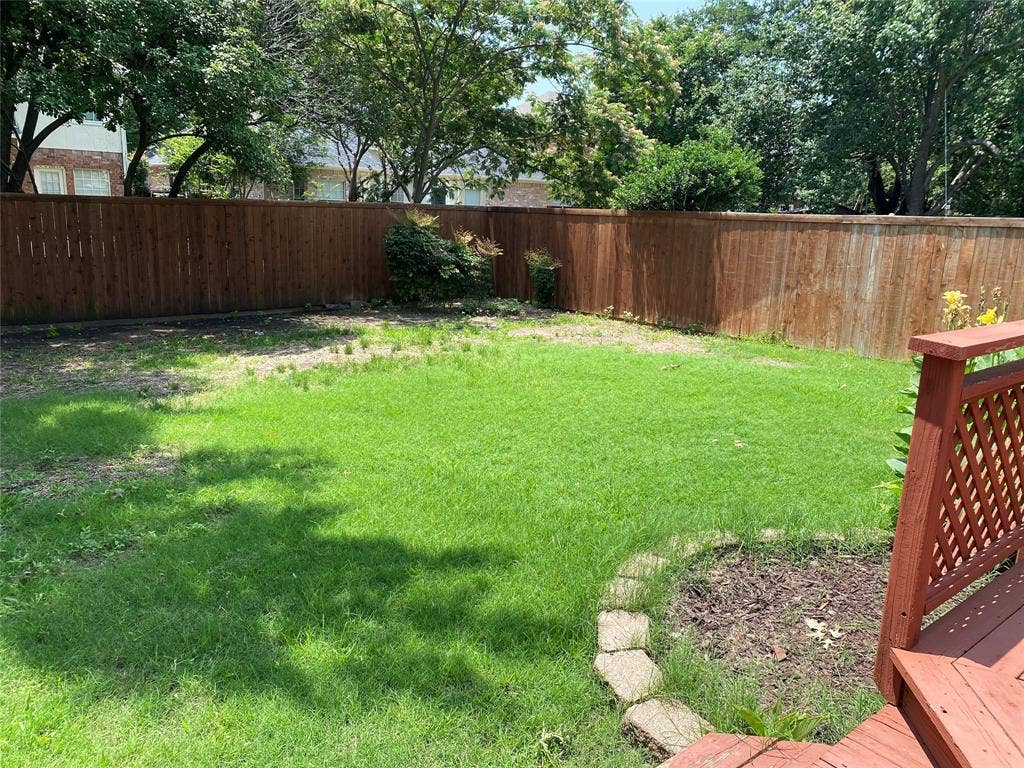 Back yard area