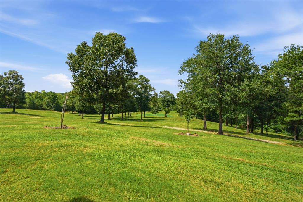 12842 Farm to Market 838, Overton, TX 75684 Expansive green lawn with scattered mature trees and natural landscaping