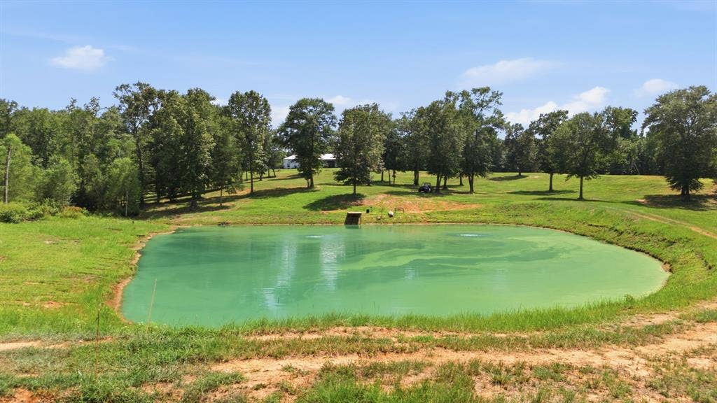 12842 Farm to Market 838, Overton, TX 75684 Additional content