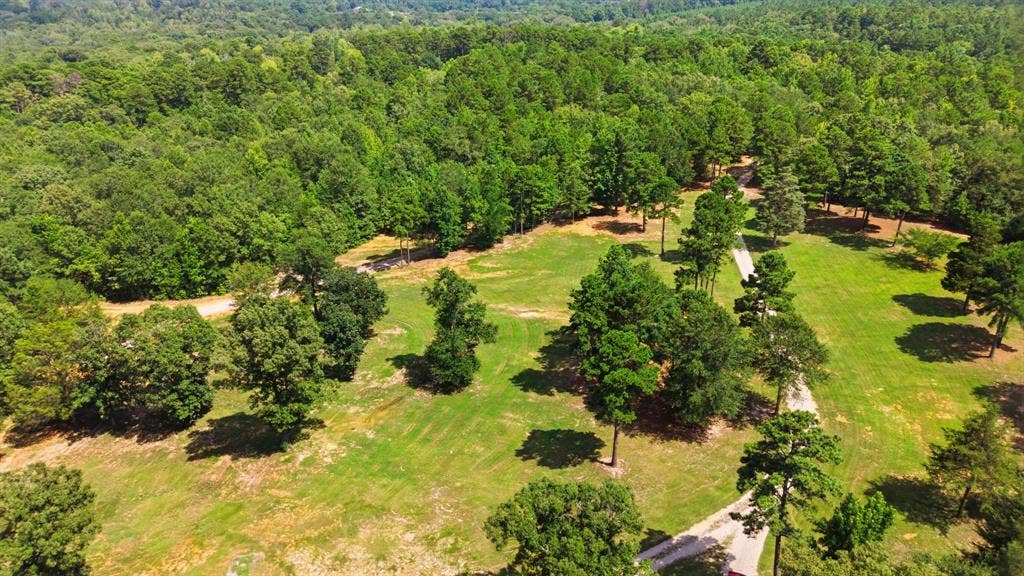 12842 Farm to Market 838, Overton, TX 75684 Extensive property featuring a winding driveway, mature trees, and a backdrop of dense woodland