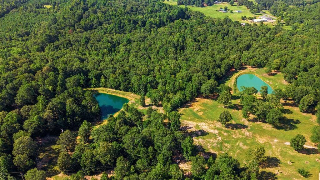 12842 Farm to Market 838, Overton, TX 75684 Expansive acreage featuring dense wooded areas, open clearings, and two serene ponds
