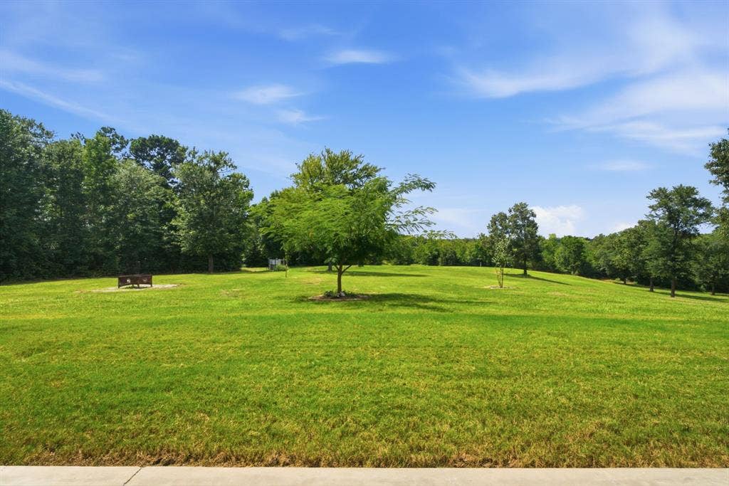 12842 Farm to Market 838, Overton, TX 75684 Expansive green space featuring a large grassy area and mature trees
