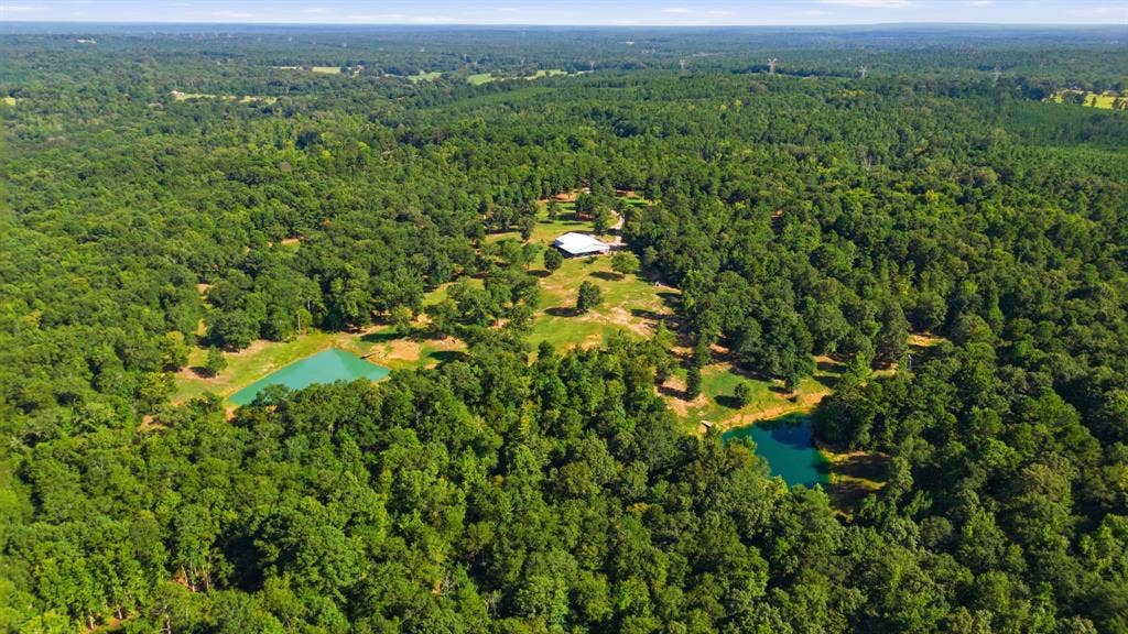 12842 Farm to Market 838, Overton, TX 75684 Expansive wooded acreage featuring a single-story residence, two distinct ponds, and clearings around the home