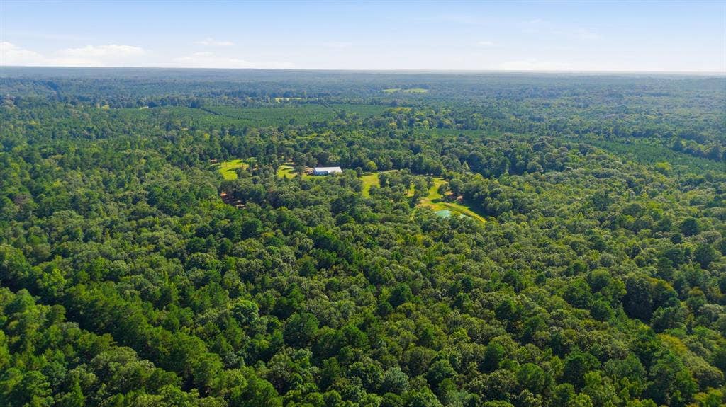 12842 Farm to Market 838, Overton, TX 75684 Expansive property surrounded by dense, mature woodlands