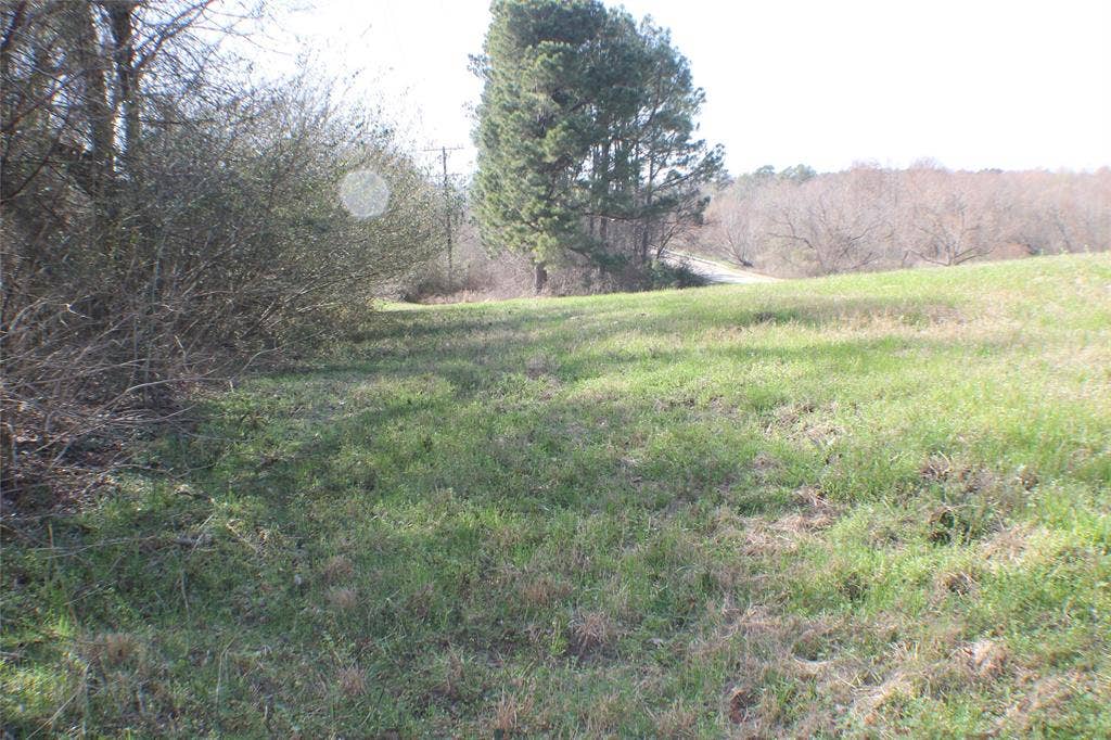 0 Lago Vista Drive, Athens, TX 75752 0 Lago Vista Drive, Athens, TX 75752
