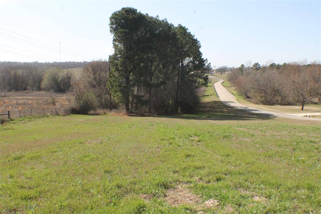 0 Lago Vista Drive, Athens, TX 75752 0 Lago Vista Drive, Athens, TX 75752