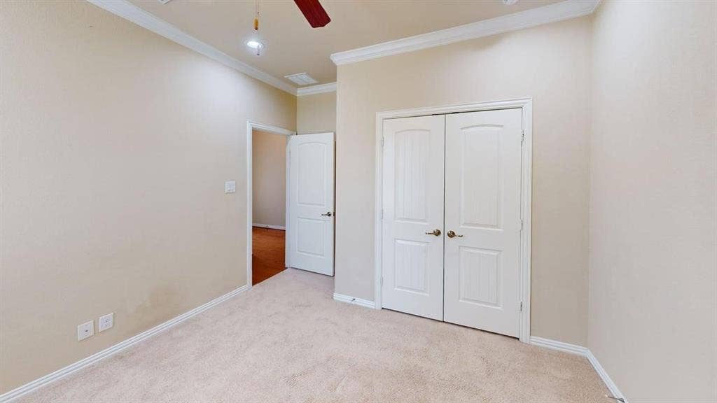 Plush carpet flooring, crown molding, white trim, and a ceiling fan with integrated lighting