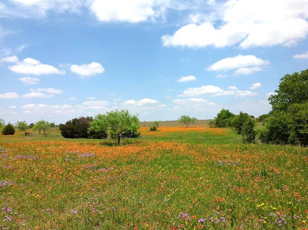 000 35 ac. Rattler Hill Road, McGregor, TX 76657 000 35 ac. Rattler Hill Road, McGregor, TX 76657