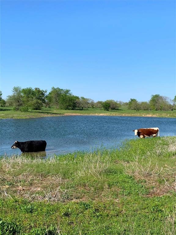 000 35 ac. Rattler Hill Road, McGregor, TX 76657 000 35 ac. Rattler Hill Road, McGregor, TX 76657