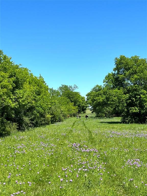 000 35 ac. Rattler Hill Road, McGregor, TX 76657 000 35 ac. Rattler Hill Road, McGregor, TX 76657
