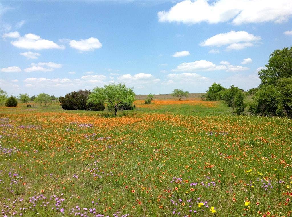 000 35 ac. Rattler Hill Road, McGregor, TX 76657 000 35 ac. Rattler Hill Road, McGregor, TX 76657