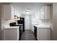 8100 N N Mopac Expressway, #05-223, Austin, TX 78759 50% OFF your rent for the next 4 months* PLUS $99 app & admin fee! * On select homes