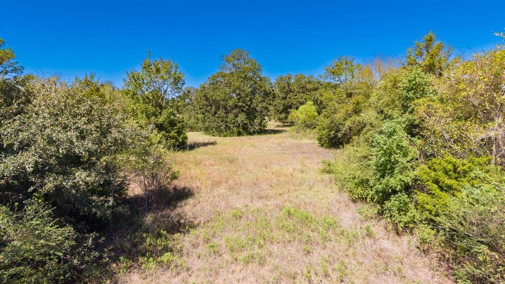 1200 County Road 2307, Sulphur Springs, TX 75482 Huge Oak trees! Acreage behind house is also fenced, ready for livestock or gardens.