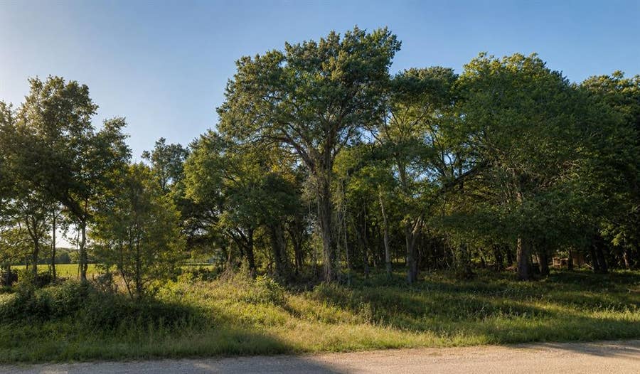 Property photo for 11950 Trinity Hills Road, Kemp, TX
