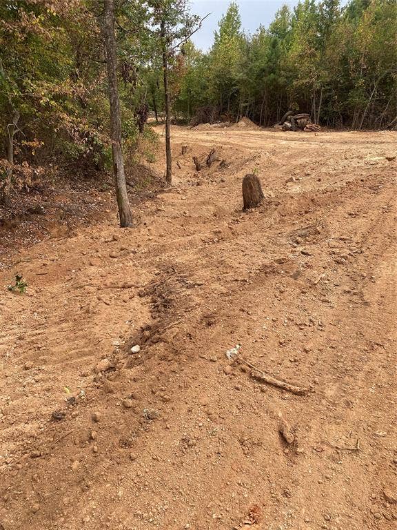 TBD Cr-335, Tyler, TX 75708 Acreage in back