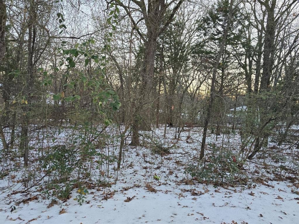 Lot 751 Doe Run Road, Gun Barrel City, TX 75156 Lot 751 Doe Run Road, Gun Barrel City, TX 75156