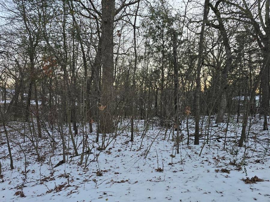 Property photo for Lot 751 Doe Run Road, Gun Barrel City, TX