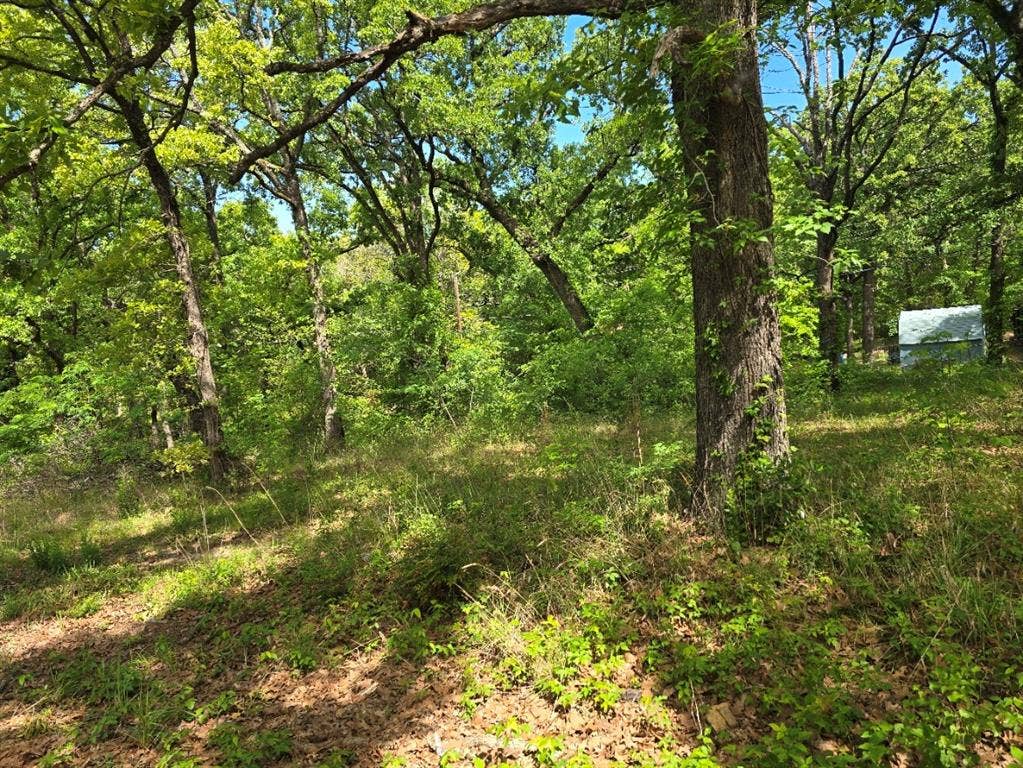Lot 700 Shady Grove Road, Gun Barrel City, TX 75156 Lot 700 Shady Grove Road, Gun Barrel City, TX 75156