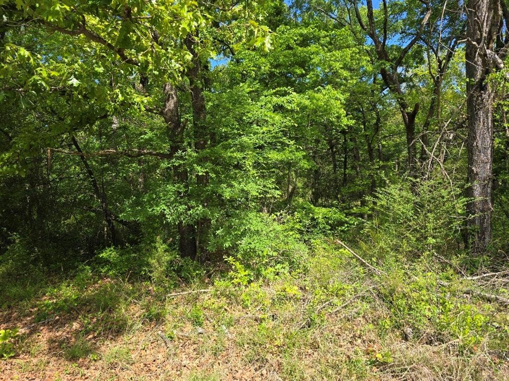 Lot 700 Shady Grove Road, Gun Barrel City, TX 75156 Lot 700 Shady Grove Road, Gun Barrel City, TX 75156