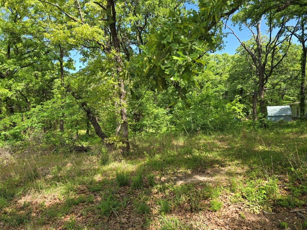 Lot 700 Shady Grove Road, Gun Barrel City, TX 75156 Lot 700 Shady Grove Road, Gun Barrel City, TX 75156