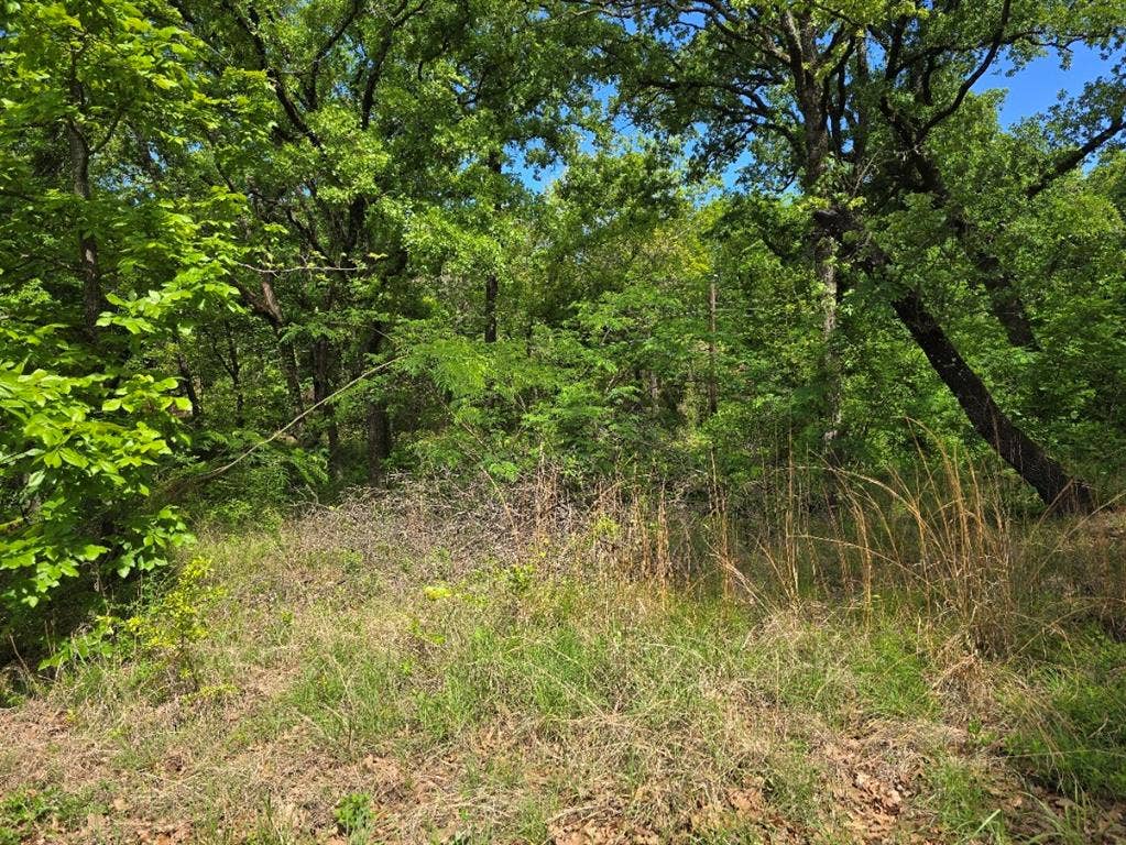 Lot 700 Shady Grove Road, Gun Barrel City, TX 75156 Lot 700 Shady Grove Road, Gun Barrel City, TX 75156