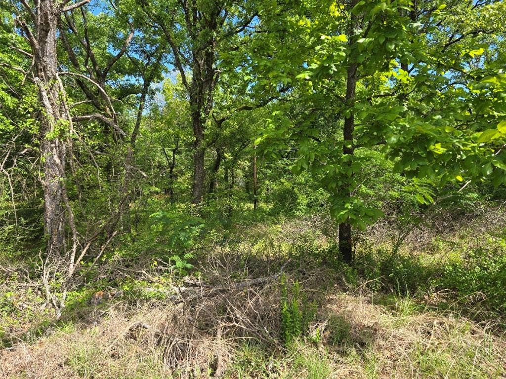 Lot 700 Shady Grove Road, Gun Barrel City, TX 75156 Lot 700 Shady Grove Road, Gun Barrel City, TX 75156