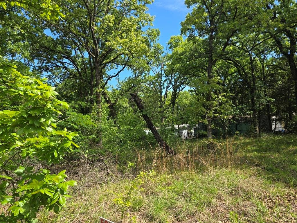 Lot 701 Shady Grove Road, Gun Barrel City, TX 75156 Lot 701 Shady Grove Road, Gun Barrel City, TX 75156