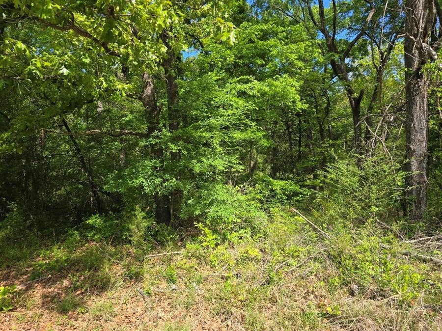 Property photo for Lot 701 Shady Grove Road, Gun Barrel City, TX