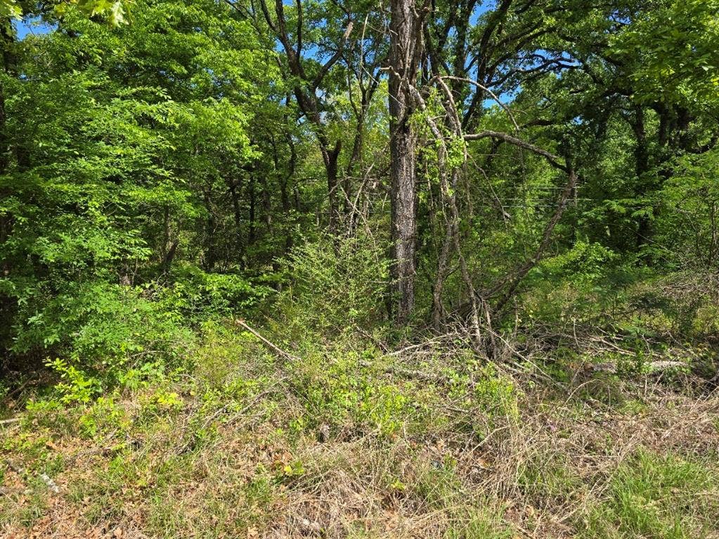 Lot 701 Shady Grove Road, Gun Barrel City, TX 75156 Lot 701 Shady Grove Road, Gun Barrel City, TX 75156